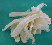 Chitosan